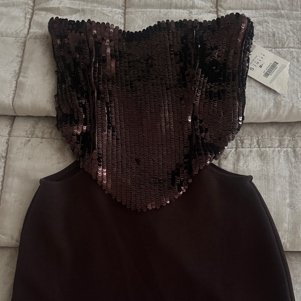 Zara Brown Strapless Sequin Dress